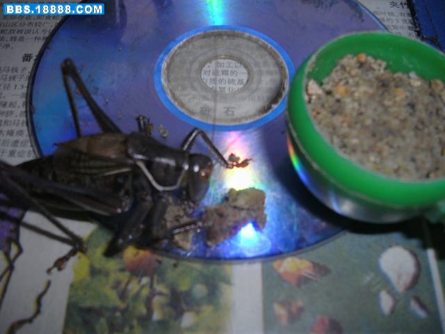 DSCK0688.JPG