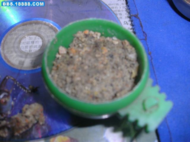 DSCK0689.JPG