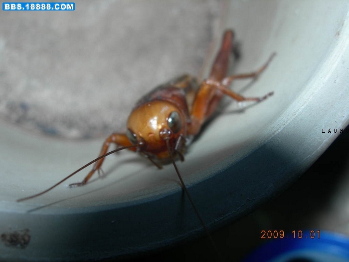 DSCN3881.JPG