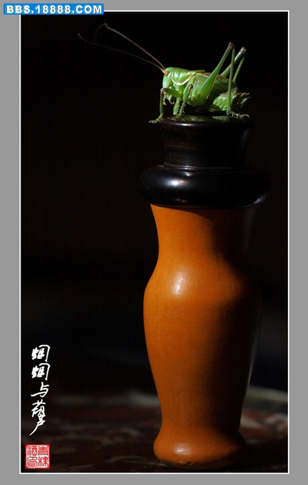IMG_4221_光影_1.jpg