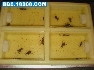 DSC04958_副本.jpg