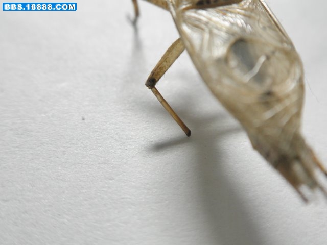 PB231598.JPG