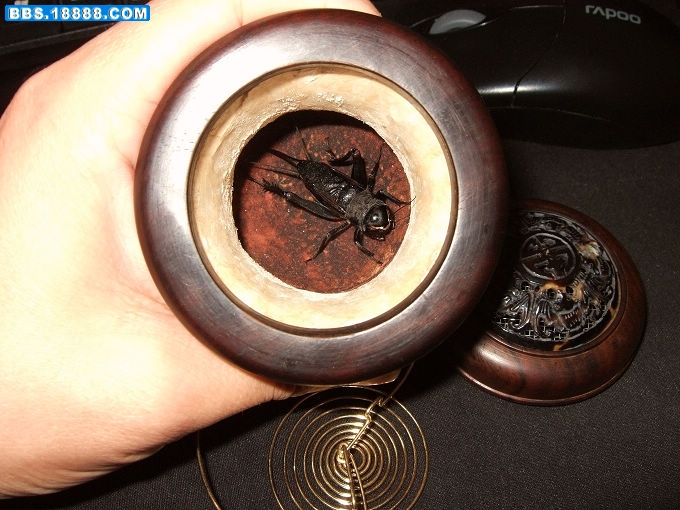 DSCF2490.jpg