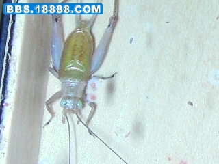 SANY0352.JPG