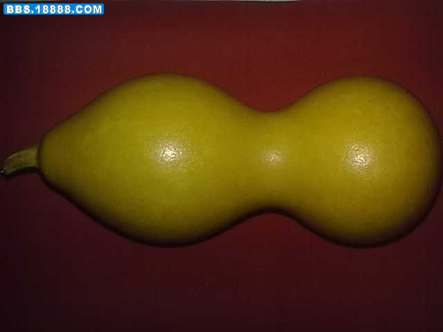 20091202002.jpg