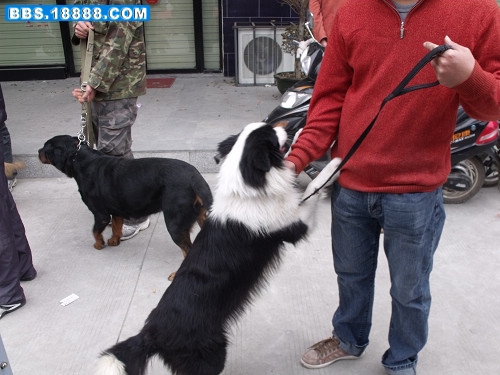 DSCF2585.JPG