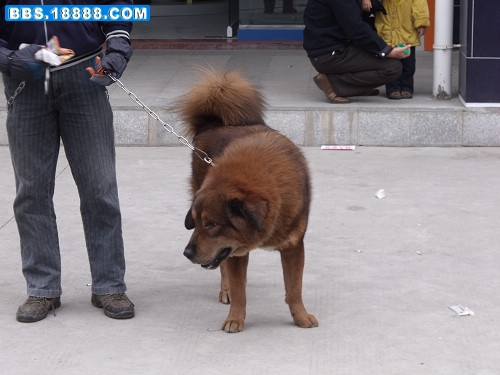 DSCF2598.JPG