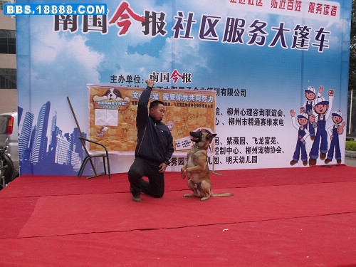 DSCF2473.JPG