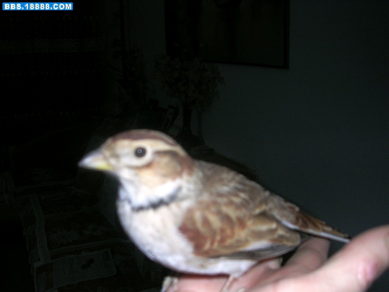DSCN8190.JPG