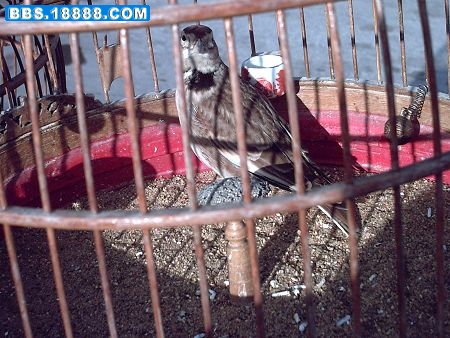 PICT0099.jpg
