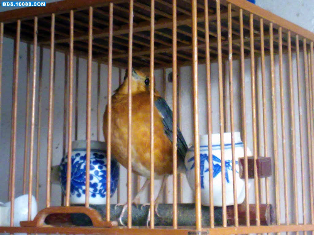 20091130288.jpg