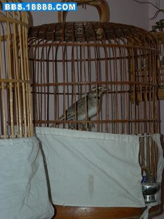DSCN4039.jpg