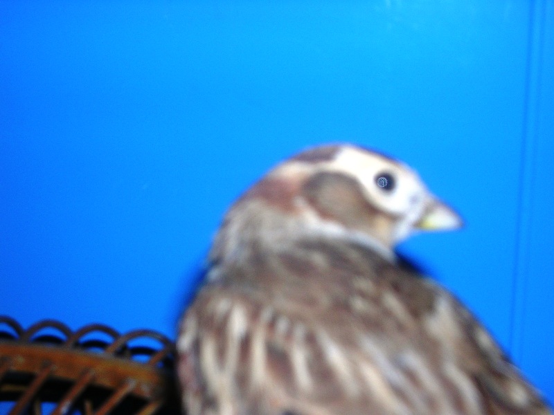 DSCN8012.JPG