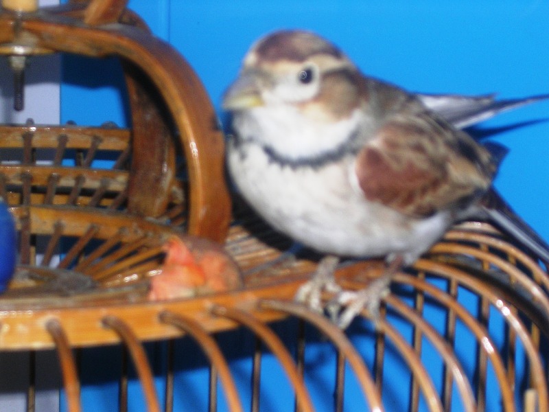 DSCN8006.JPG