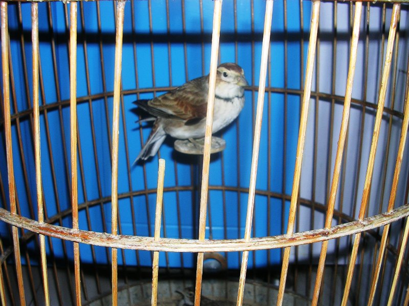 DSCN7970.JPG