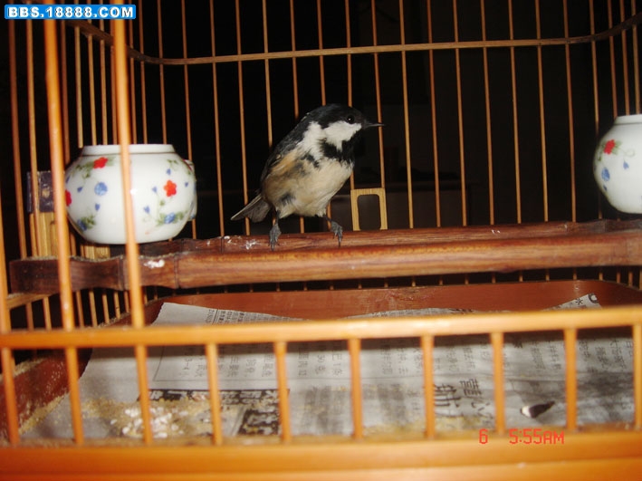 DSC02752.JPG