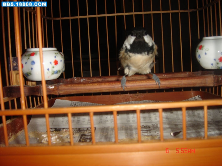 DSC02754.JPG