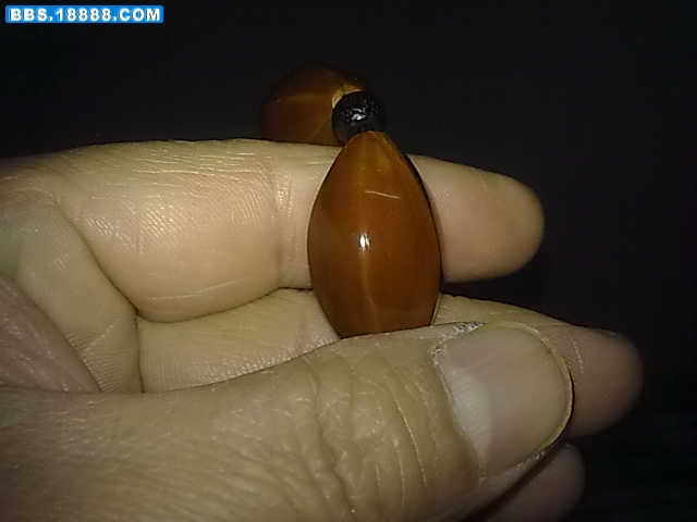 20100125280.jpg