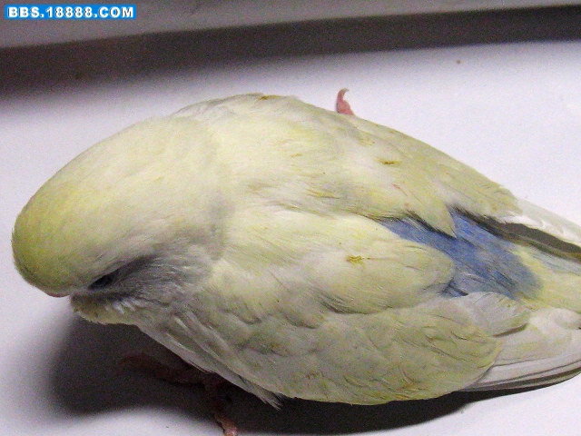 照片 984_nEO_IMG.jpg