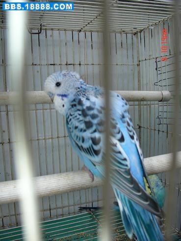 DSC05660.JPG