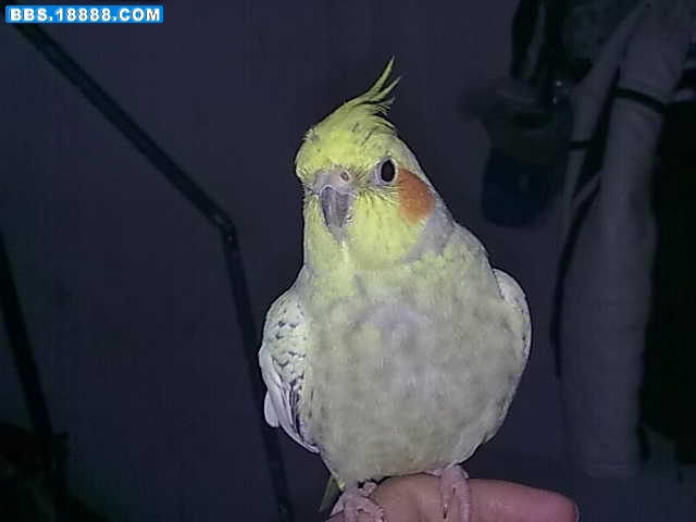 20100111280.jpg