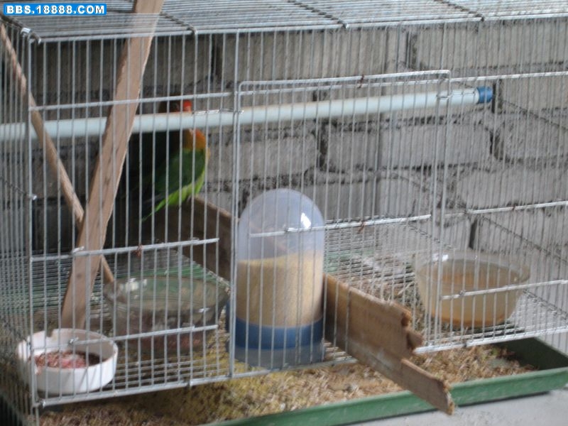 nEO_IMG_IMG_9612.jpg