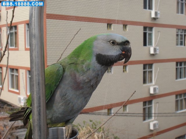 DSC00289.jpg