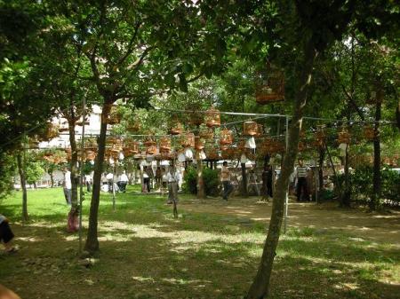 2008101908.JPG