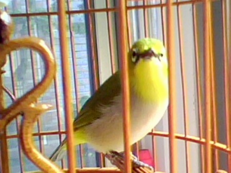IMG0102A.jpg