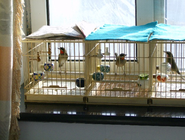 HPIM0132.JPG