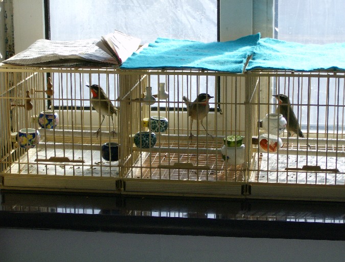 HPIM0133.JPG