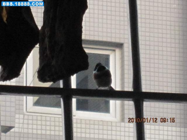 IMG_0582.jpg