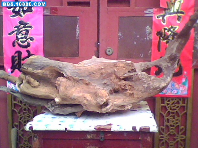 IMG0902A.jpg