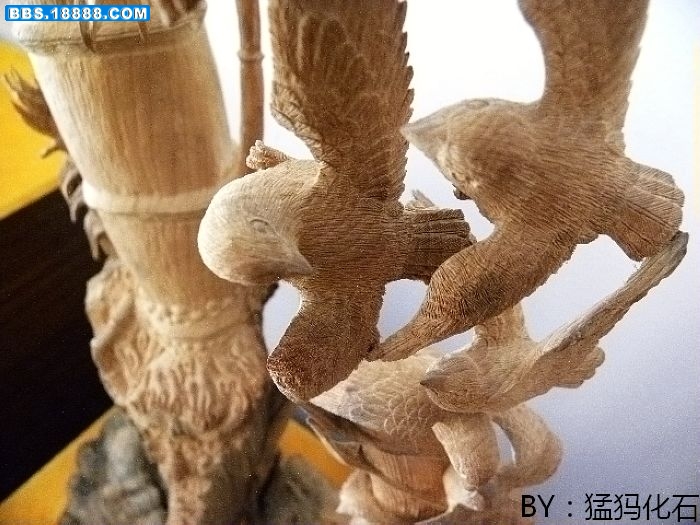 DSCN1029.jpg