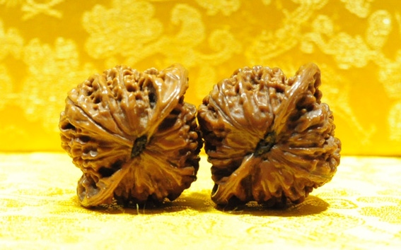 盘龙文4.jpg