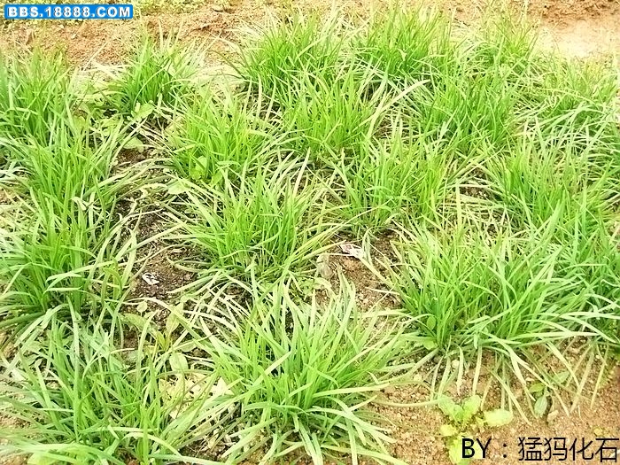 CIMG0598.jpg