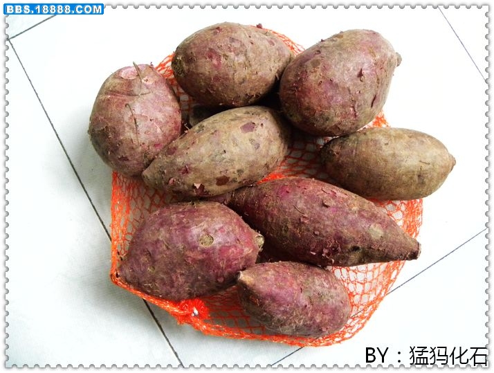 DSCN2389.jpg