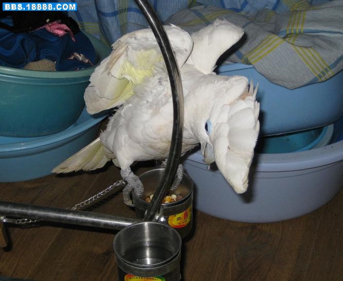 26.jpg