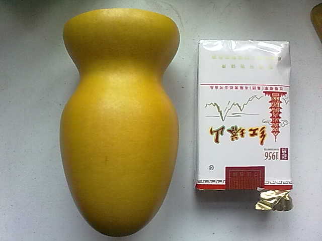 20100130299.jpg
