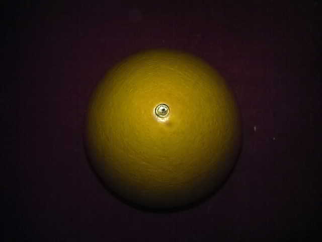 20100102165.jpg