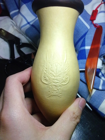 20100124623.jpg