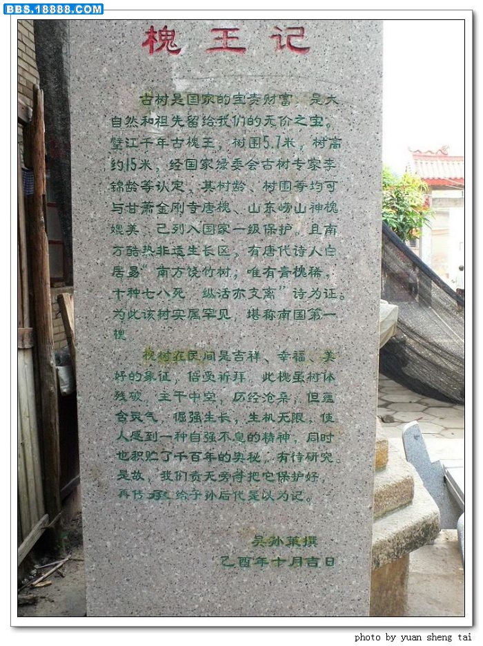 a10.jpg