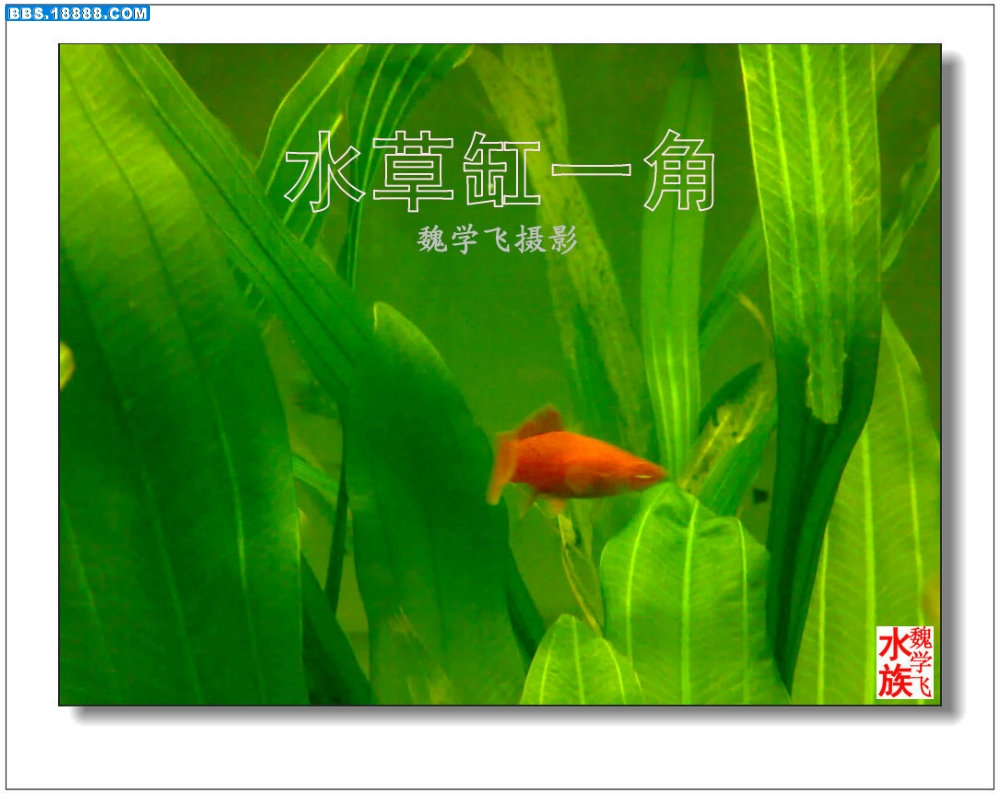 200906072585_1.jpg