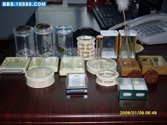 SDC12185.jpg