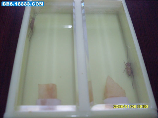 SDC12193.jpg