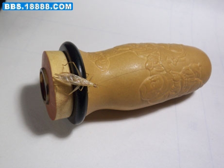 100_3855.JPG