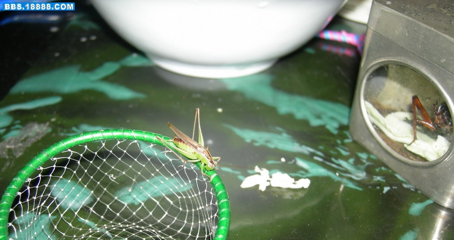 照片 009.jpg