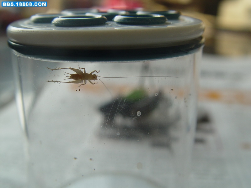 DSC01004_调整大小.JPG