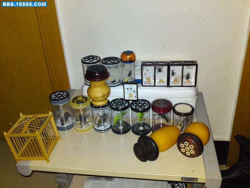 DSC00771.JPG