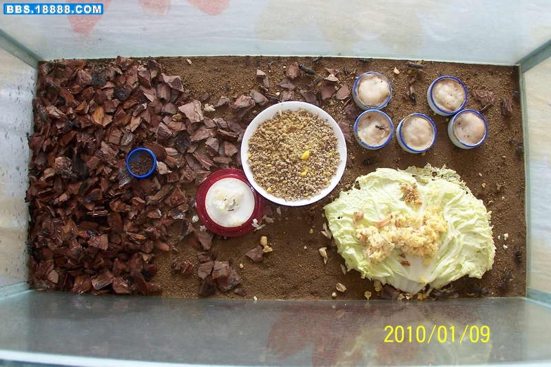 照片 015.jpg